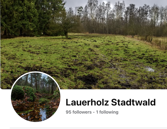 Facebook Seite Lauerholz